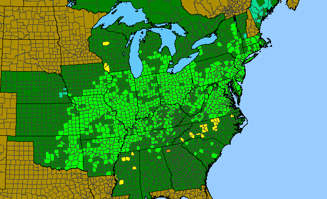 The range of Quercus palustris